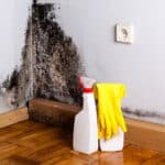 Mold Removal-How Mold Can Be a Cause of Your Tiredness & Discomfort