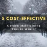 5 Cost-Effective Garden Maintaining Tips in Winter