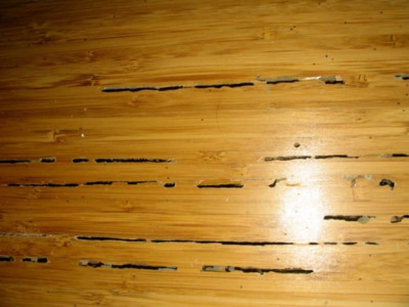 hardwood floor ideas