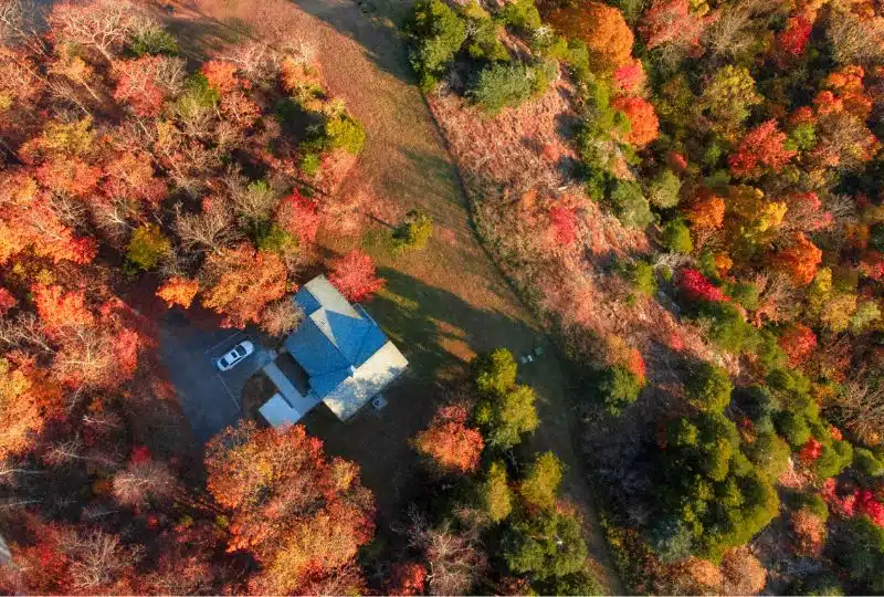 The Pros and Cons of Having a House Surrounded by Trees