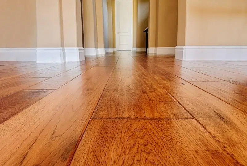 How To Prevent Your Dog From Damaging Your Hardwood Floors