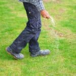 The Benefits of Using Fertilizer on Your Lawn