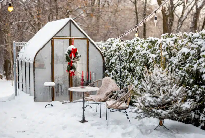 6 Ways To Prepare a Greenhouse for Winter