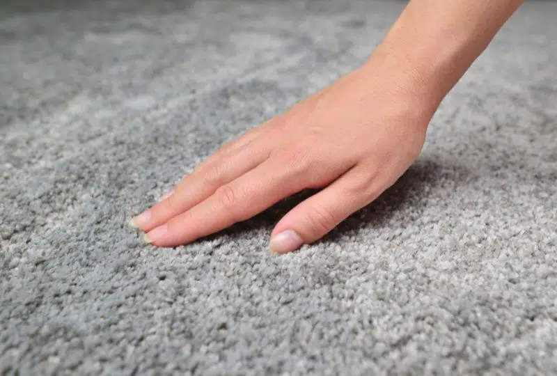 Cut Pile vs. Loop Pile Rugs: What’s the Difference?