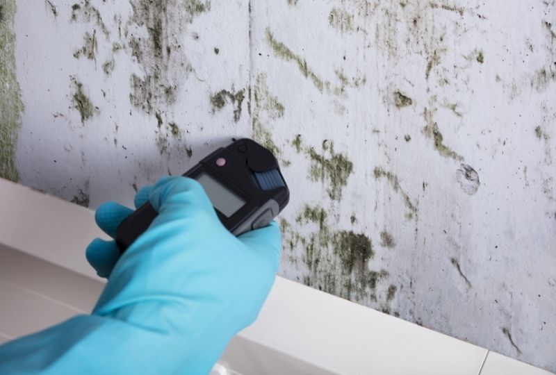 prevent mold growth