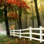 Inexpensive Fence Designs for Your Homestead
