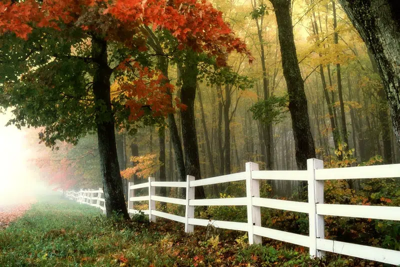 Inexpensive Fence Designs for Your Homestead