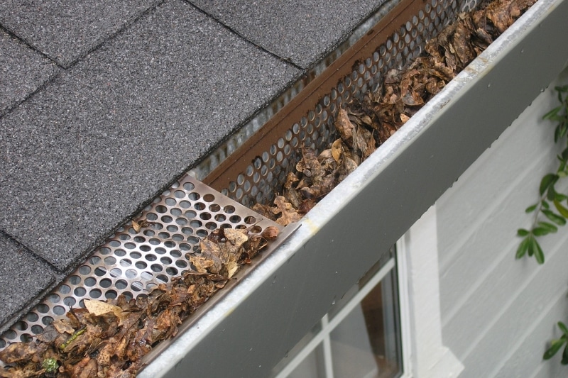 maintain gutters