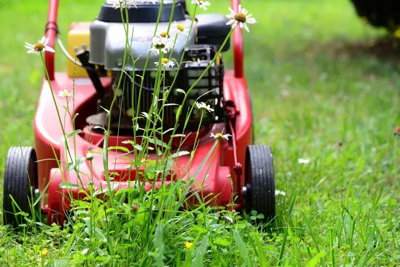 A Lawn Maintenance Checklist for the Spring