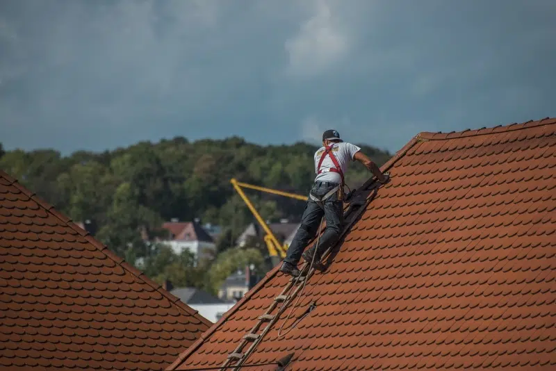 How To Decide if You Should Repair or Replace Your Roof